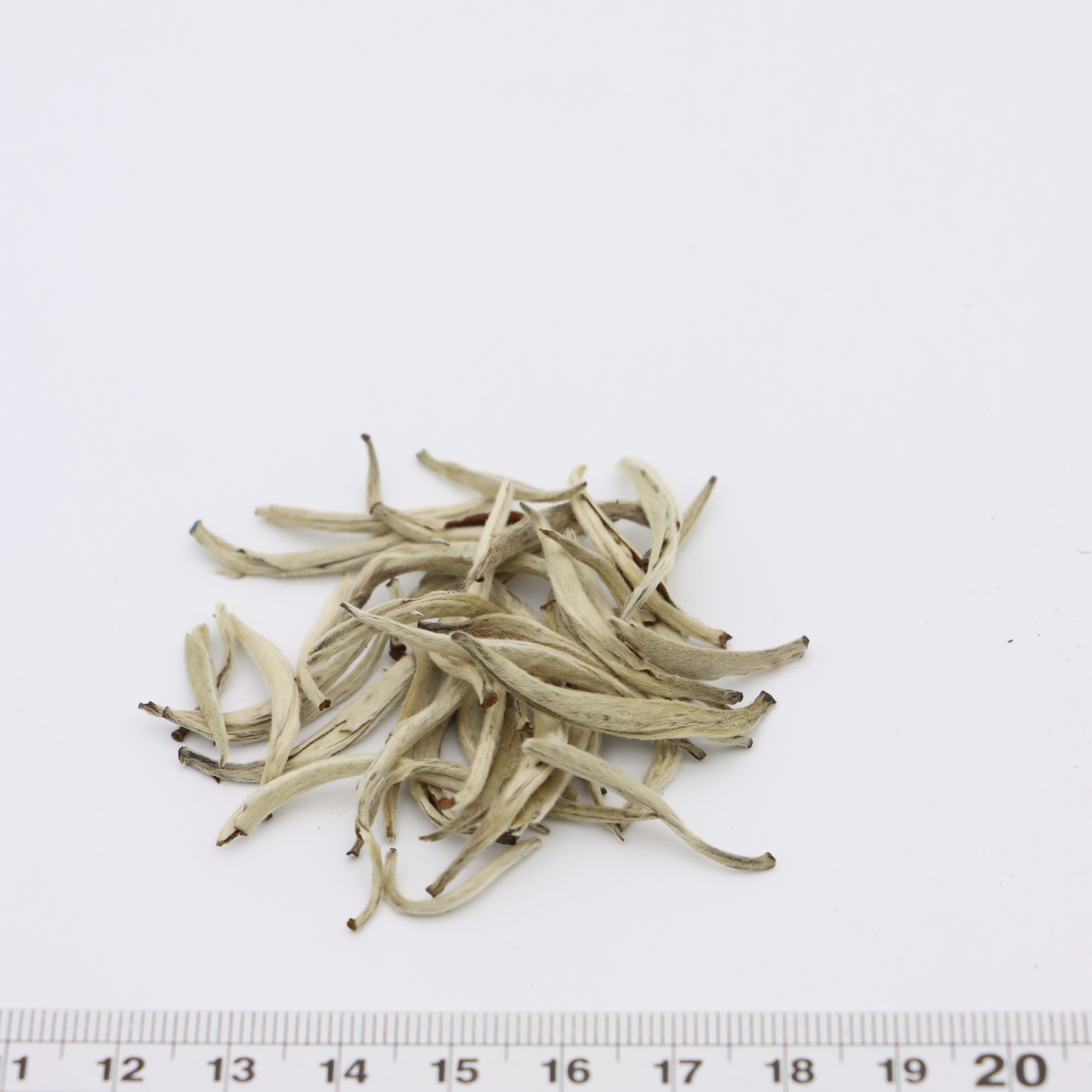 Organic Jasmine Silver Needle White Tea