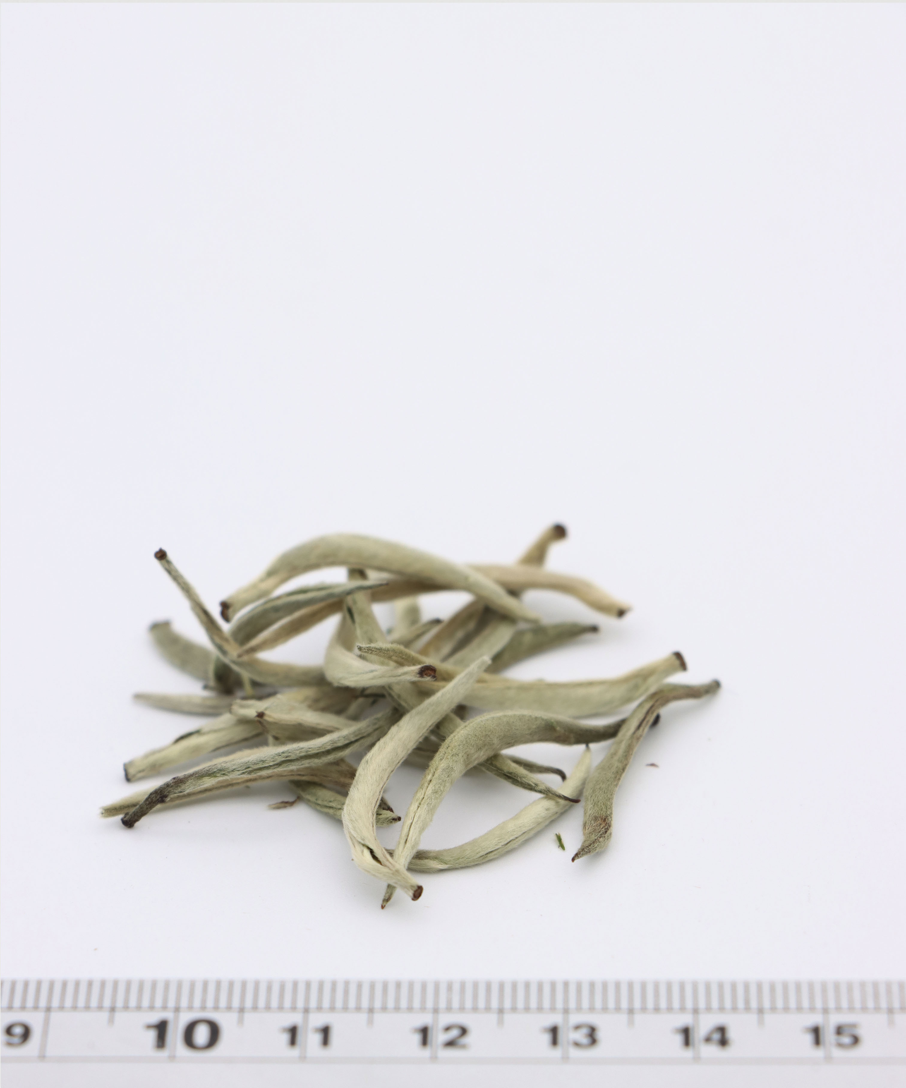 EU Standard Silver Needle White Tea