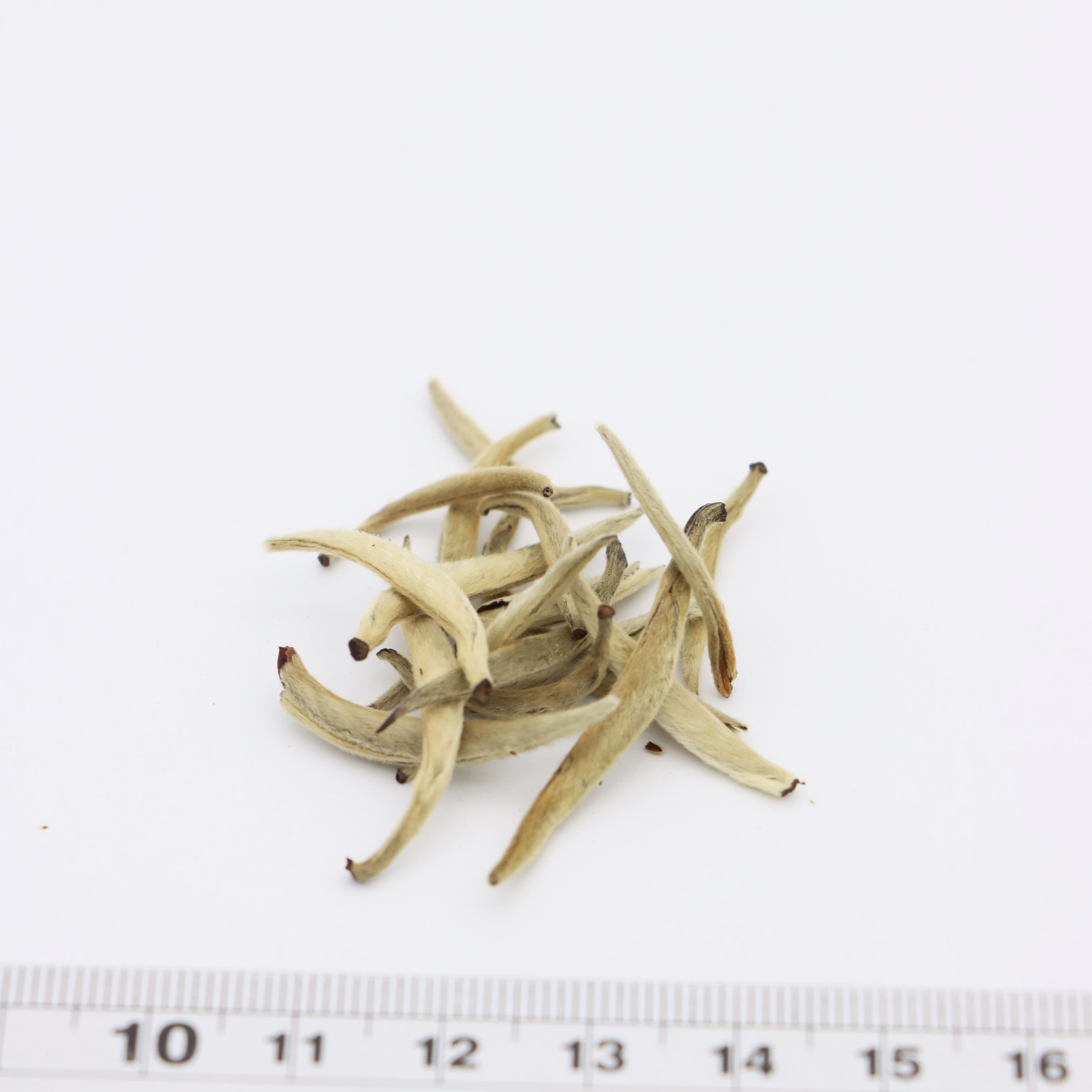 Aged Silver Needle White Tea 2017