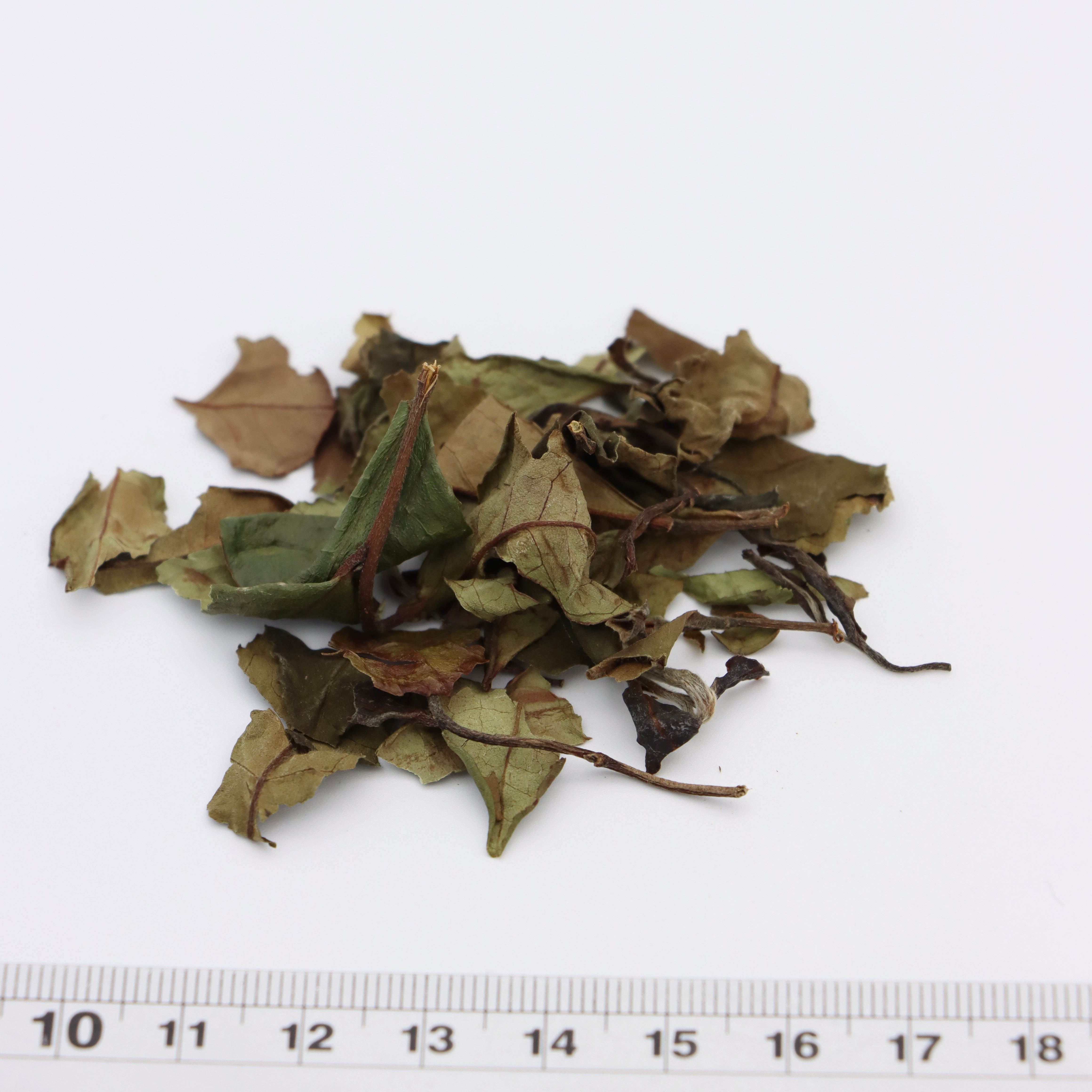 Organic Shou Mei White Tea