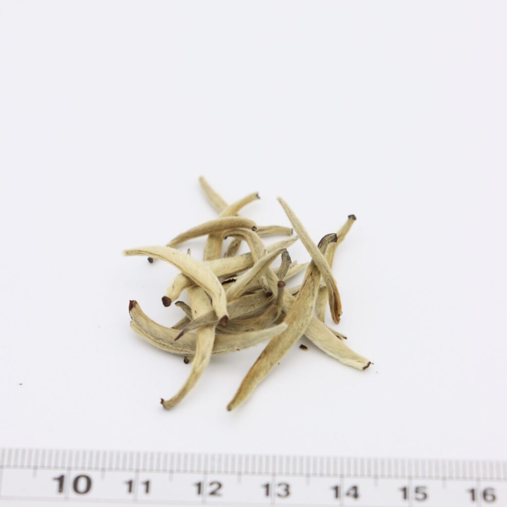 Aged Silver Needle White Tea 2017